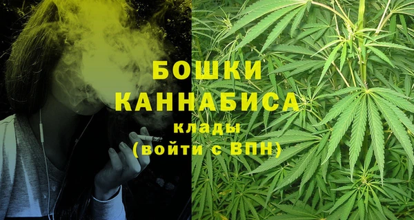 шишки Приозерск