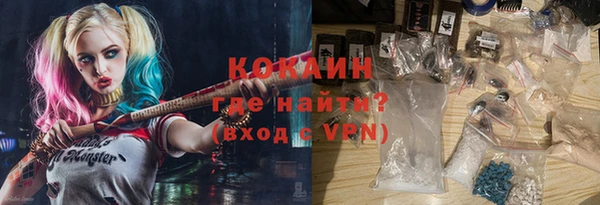 шишки Приозерск