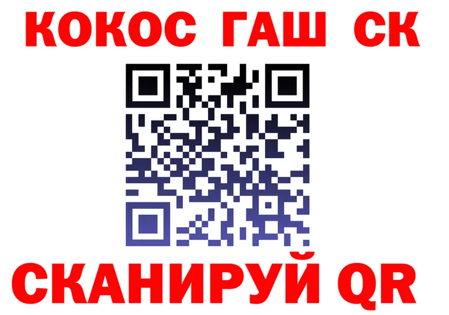 ТГК Wax ТОР площадка блэк спрут Великий Устюг