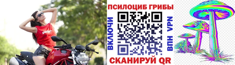 Галлюциногенные грибы Psilocybine cubensis  цена   Великий Устюг 