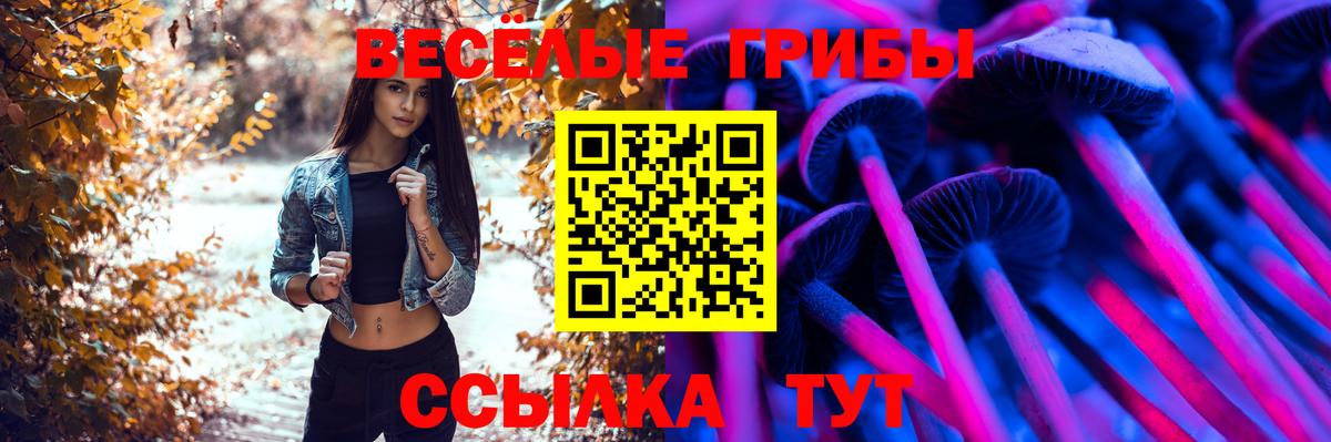 Галлюциногенные грибы GOLDEN TEACHER Великий Устюг