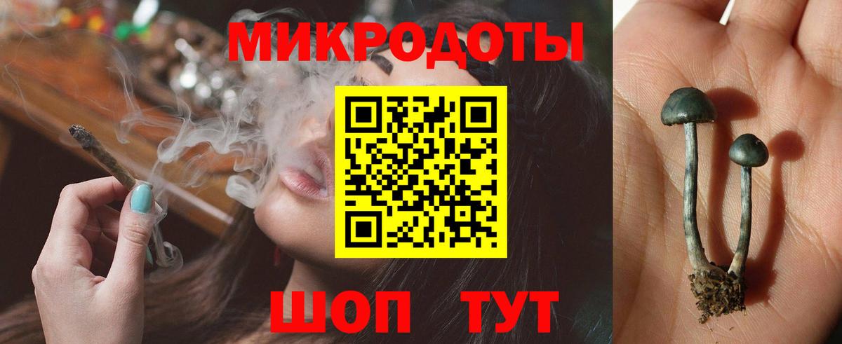 Галлюциногенные грибы MAGIC MUSHROOMS Великий Устюг